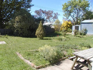 Backyard (2003-10-24)