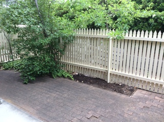 Rear Courtyard (2015-12-15)