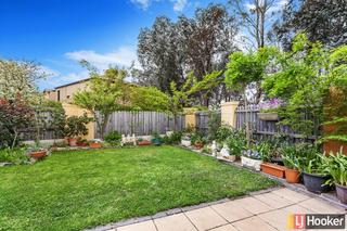 Backyard (2015-10-09)