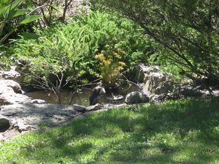 Yard (2007-03-29)