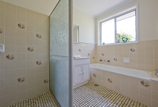 Bathroom (2013-03-19)
