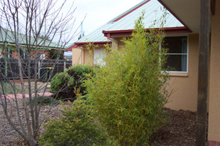 Rear garden (2003-08-15)