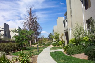 Complex (2007-10-11)