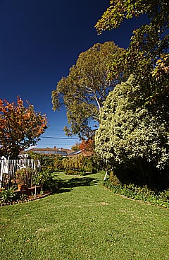 Garden (2004-05-14)