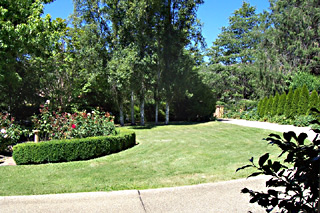Garden (2005-12-20)