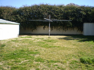 Backyard (2014-07-24)