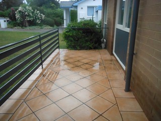 Frontyard (2014-11-18)