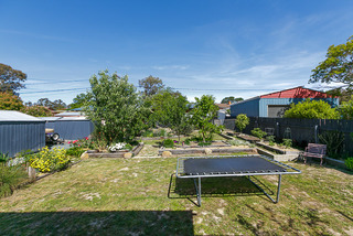 Backyard (2012-11-15)