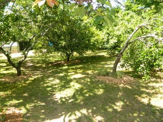 (2015-06-05)
