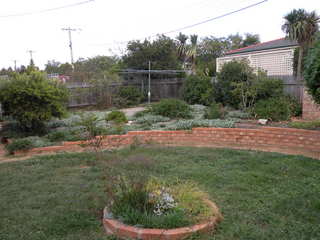 Backyard (2011-11-24)