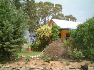 Garden (2004-11-03)