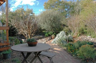 Garden Path (2005-07-24)