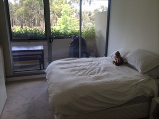 Bed 1 (2014-12-23)