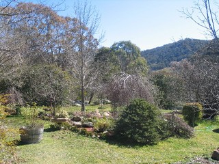 Garden (2003-09-15)