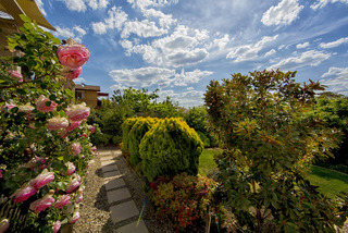 Garden (2013-11-08)