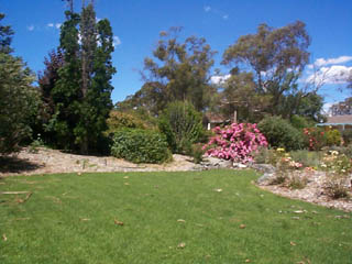 Front yard (2001-04-09)