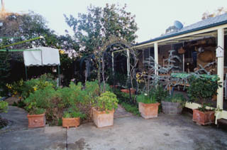 Rear yard (2002-01-09)